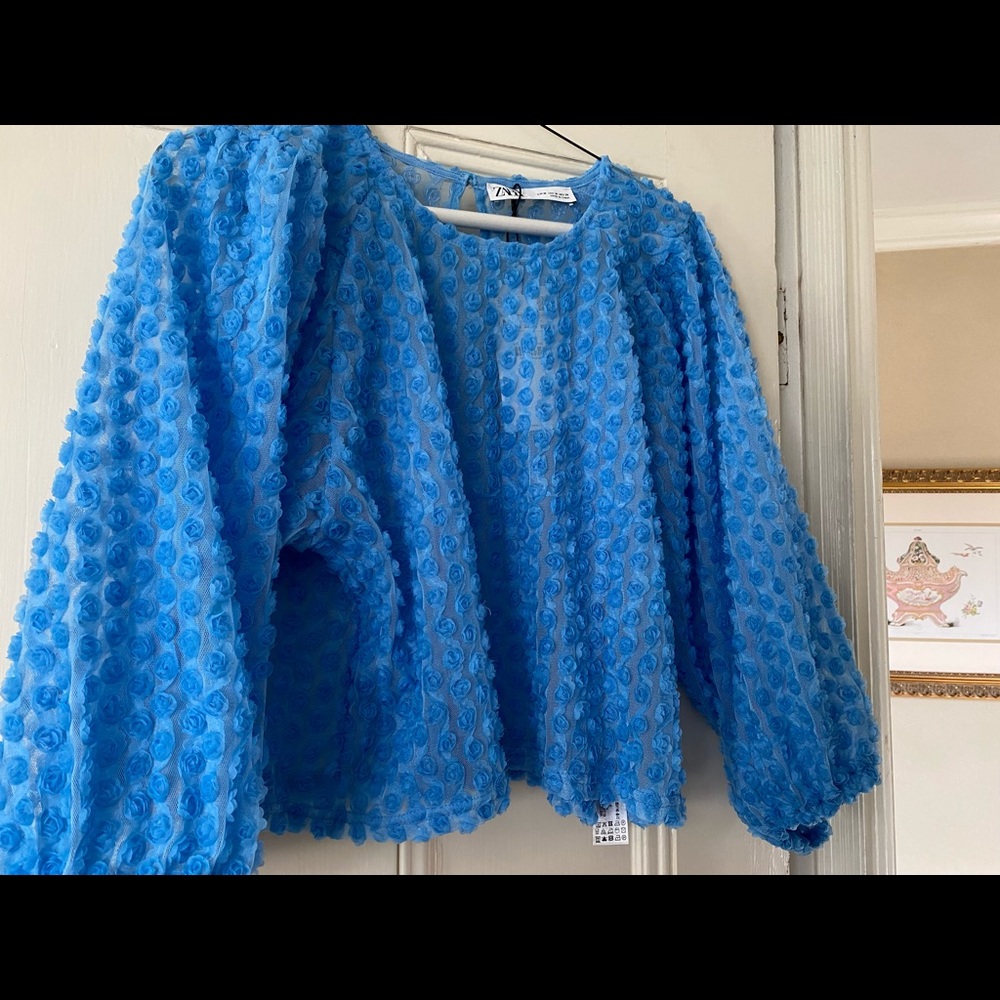 Zara puff sleeve cropped rosette top NWT